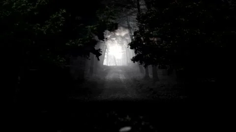 Dark forest , Camera Dolly in . Stock Footage 135861080