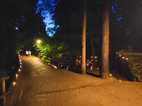 Dark Forest Candle Scene 스톡 사진