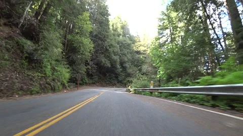 Dark Forest Drive through the Costal Redwoods of California - sub 04 Stockbeeldmateriaal 145510299