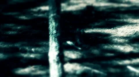 Dark Forest Stock Footage 12679188