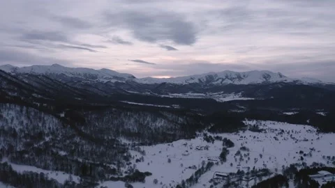 Dark forest 스톡 동영상 169397550