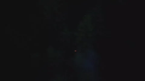Dark forest Stock Footage 325182143