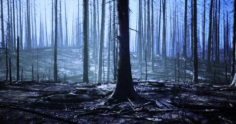 Dark forest landscape after wildfire with charred trees and shadows Stock Illustration