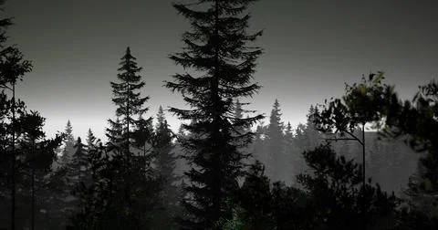 Dark forest landscape at dusk with towering trees and misty background Stock Illustration