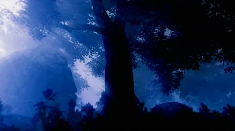 Dark forest landscape at night Stock Footage 60680211