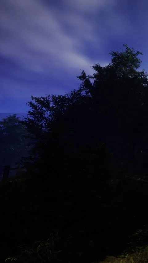 Dark forest with moonlight and clouds in the night sky Stock Footage 336574640