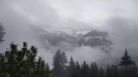 Dark forest mountains Stock Footage 240838134