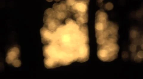 Dark forest in nature Stock Footage 46958717