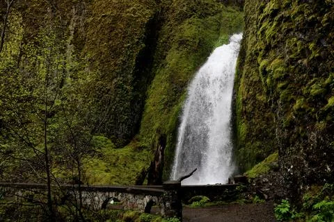 A dark forest path and bridge leading to a waterfall surrounded by moss Stock Photos