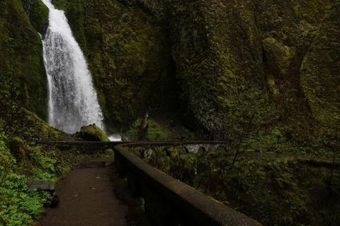 A dark forest path and bridge leading to a waterfall surrounded by moss Stock Photos
