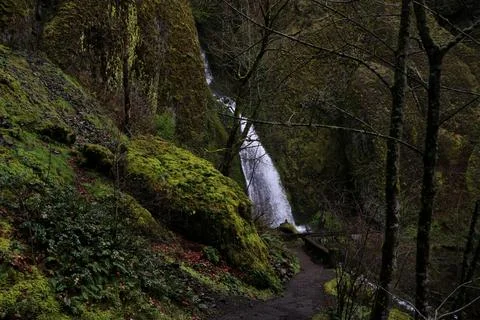 A dark forest path and bridge leading to a waterfall surrounded by green moss Stock Photos