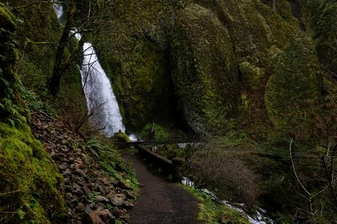 A dark forest path and bridge leading to a waterfall surrounded by moss Stock Photos