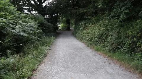 Dark Forest Path Stock-Footage 112751342