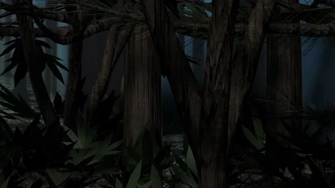Dark Forest with Pond 3D Animation Video stock 232932766
