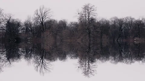 Dark forest reflecting in water. Dead nature scene. Video stock 148482116