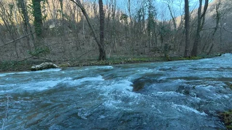 Dark Forest River Flowing With Blue Sky in Distance – Static Shot Vidéo 330952306