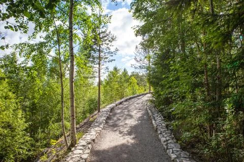 Dark forest road Stock Photos