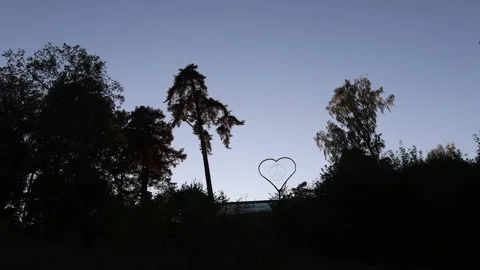 Dark forest silhouette Video stock 296820182