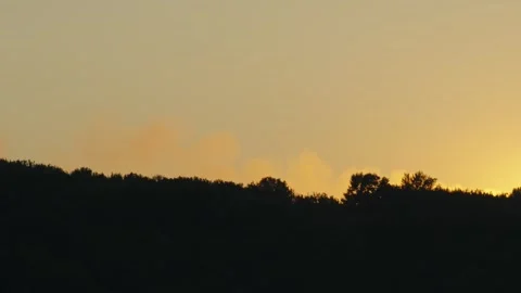 A dark forest silhouette meets a soft golden evening sky Stock Footage 339629007