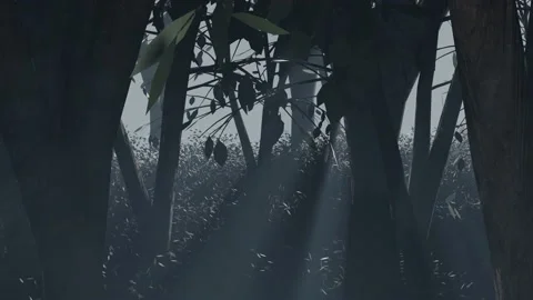 Dark Forest with Sun Rays 3D Animation Video stock 232829813