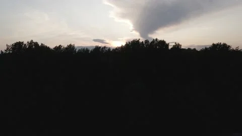 Dark Forest with Sunset Stock Footage 194421220