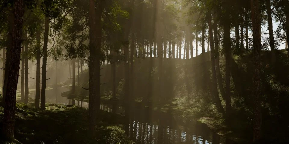A dark forest in which in some places the sun's rays break through the crow.. Stock Illustration