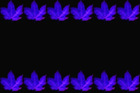 Dark frame featuring abstract glowing leaves with pink veins Stock Illustration