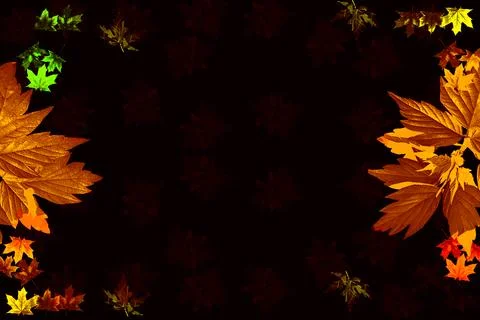 Dark frame with maple glowing autumn leaves Stock Photos