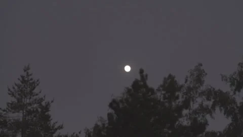 Dark Full Moon at Dusk – Night Clouds and Spooky Halloween Background Stock Footage 336125302