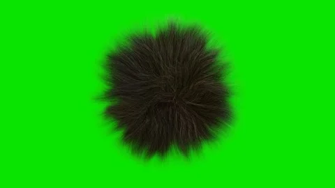 Dark furry sphere moves in the wind on a green background. 3d render looped anim Stock Footage 312873279