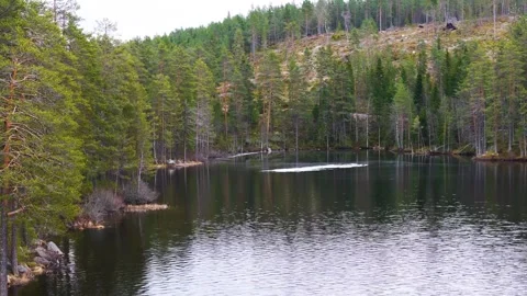 Dark gently rippling water patch ice appear perspective steep pine covered Stock Footage 327625569