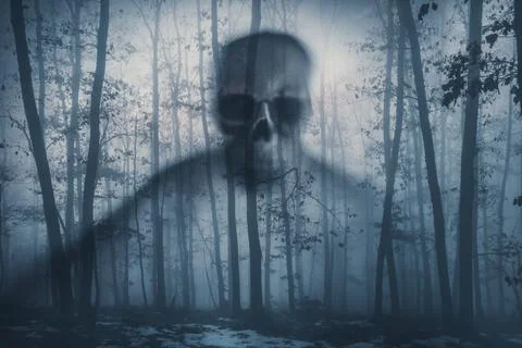 A dark ghostly figure moving through a misty forest in the evening. Spooky co Stock Photos