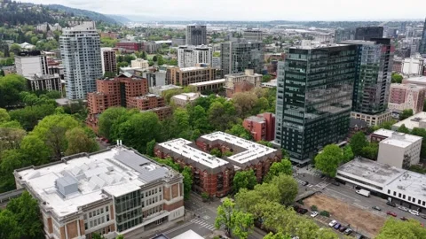 Dark glass office tower stands among historic brick buildings and tree-lined Stock Footage 337746416
