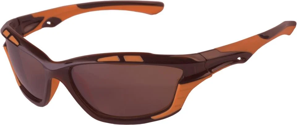 Dark glasses Stock Photos
