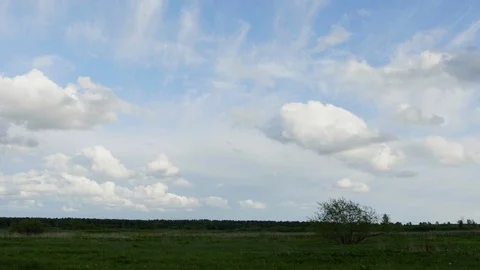 Dark gloom dry dead tree on open field with heavy heap cloud. Stock Footage 120047367