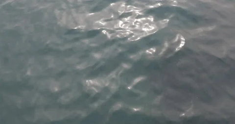 Dark gloomy waves of the cold north sea. Arctic cruise to Northern side Stock Footage 154334682