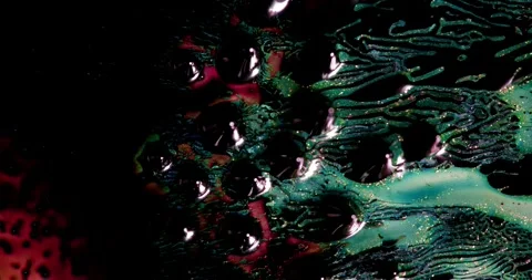 Dark Glossy Liquid Surface with Blue and Red Swirls and Reflections Creating Stock Footage 306932073