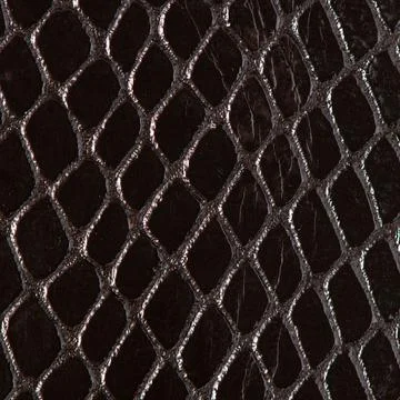 Dark glossy snakeskin pattern texture close up Stock Photos