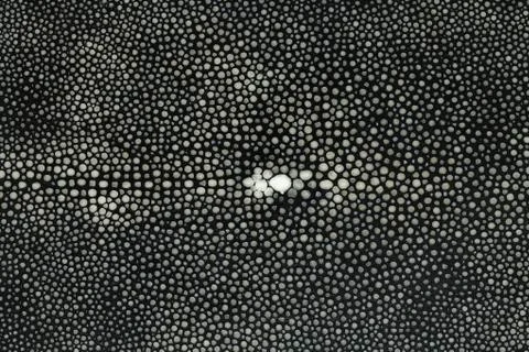 Dark gnarled texture Stock Photos