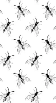 Dark gothic wasp insect vertical seamless wallpaper. Dangerous black bugs cover Stock Illustration