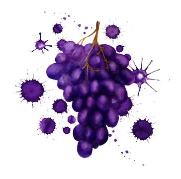 Dark grape with paint blots Stock Illustration