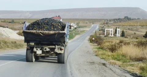 Dark grapes in the back of a tractor are driven along the road against the backd Stock Footage 171724947