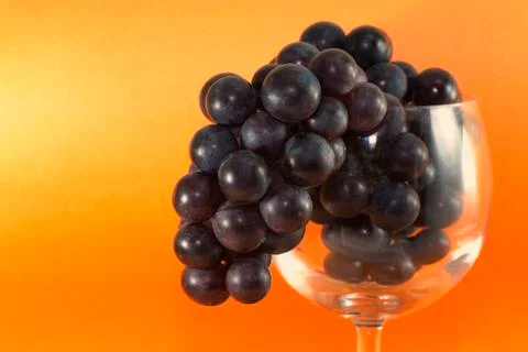 Dark grapes Stock Photos