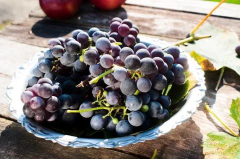 Dark grapes Stock Photos