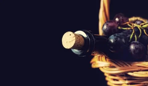 Dark grapes Stock Photos