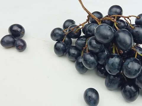 Dark grapes on white background Stock Photos