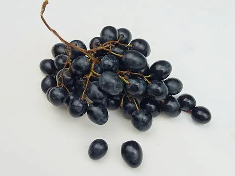 Dark grapes on white background Stock Photos