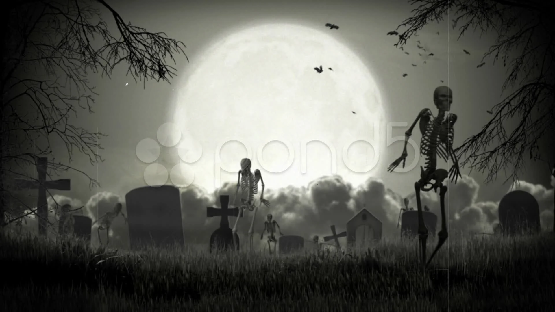 dark graveyard background