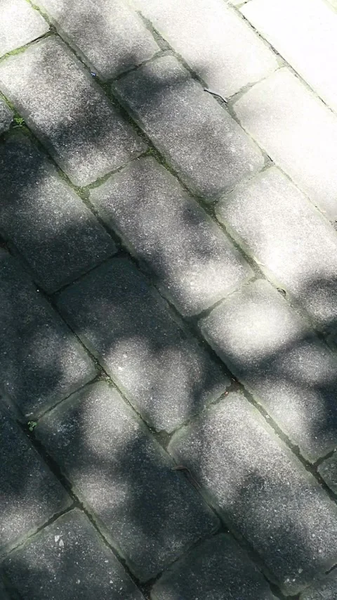 Dark gray brick sidewalk with an abstract background pattern of tree shadows Stock Footage 330281242