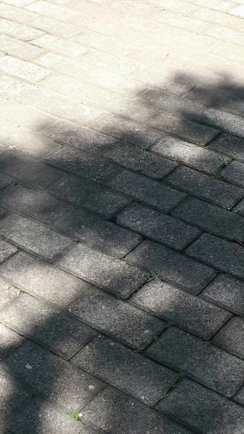 Dark gray brick sidewalk with an abstract background pattern of tree shadows Stock Footage 330281243